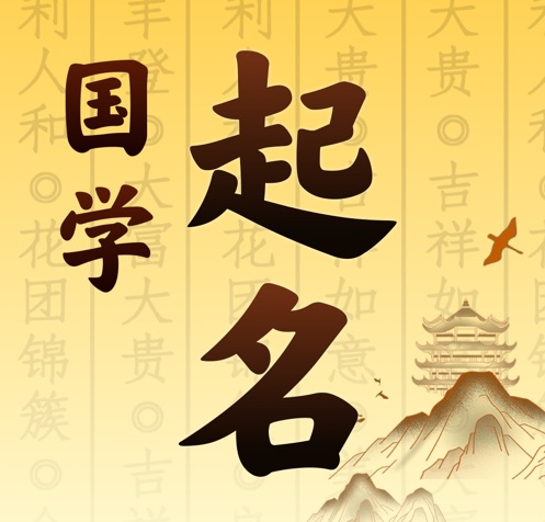 龙子湖国学起名 人工起名一对一