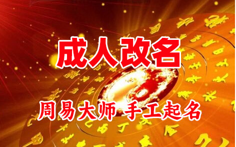 龙子湖成人改名-找大师一对一改名先分析后改名